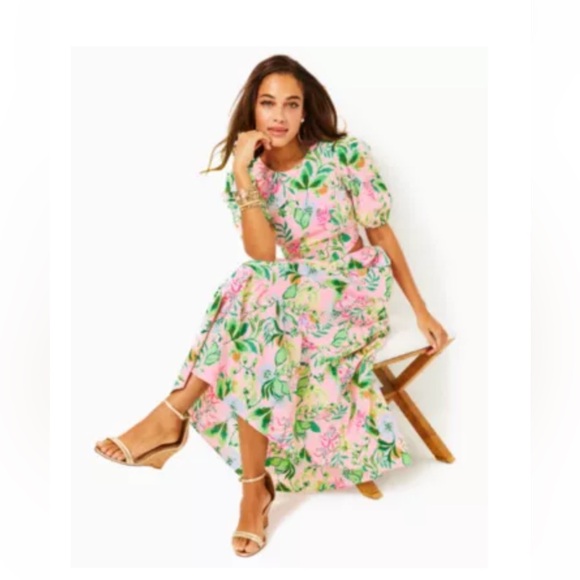 Lilly Pulitzer Lyssa Cotton Midi Dress - Picture 14 of 14